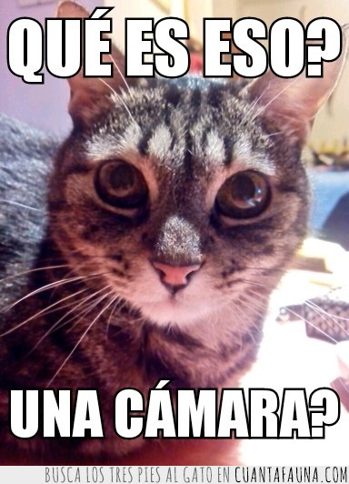 camara,que es eso,mirar,fijamente